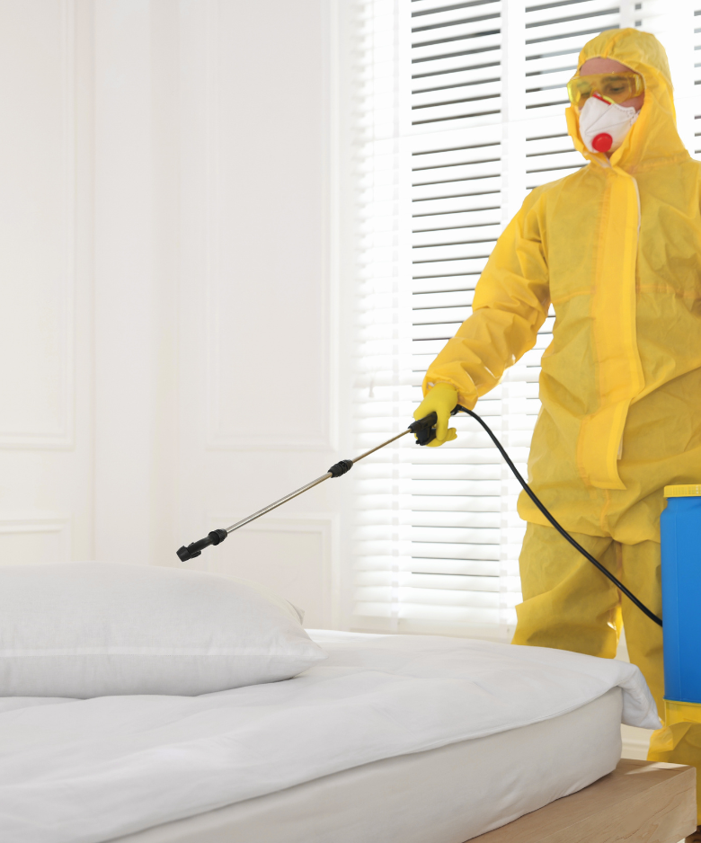 Professional Pest Control Team in Port Gawler